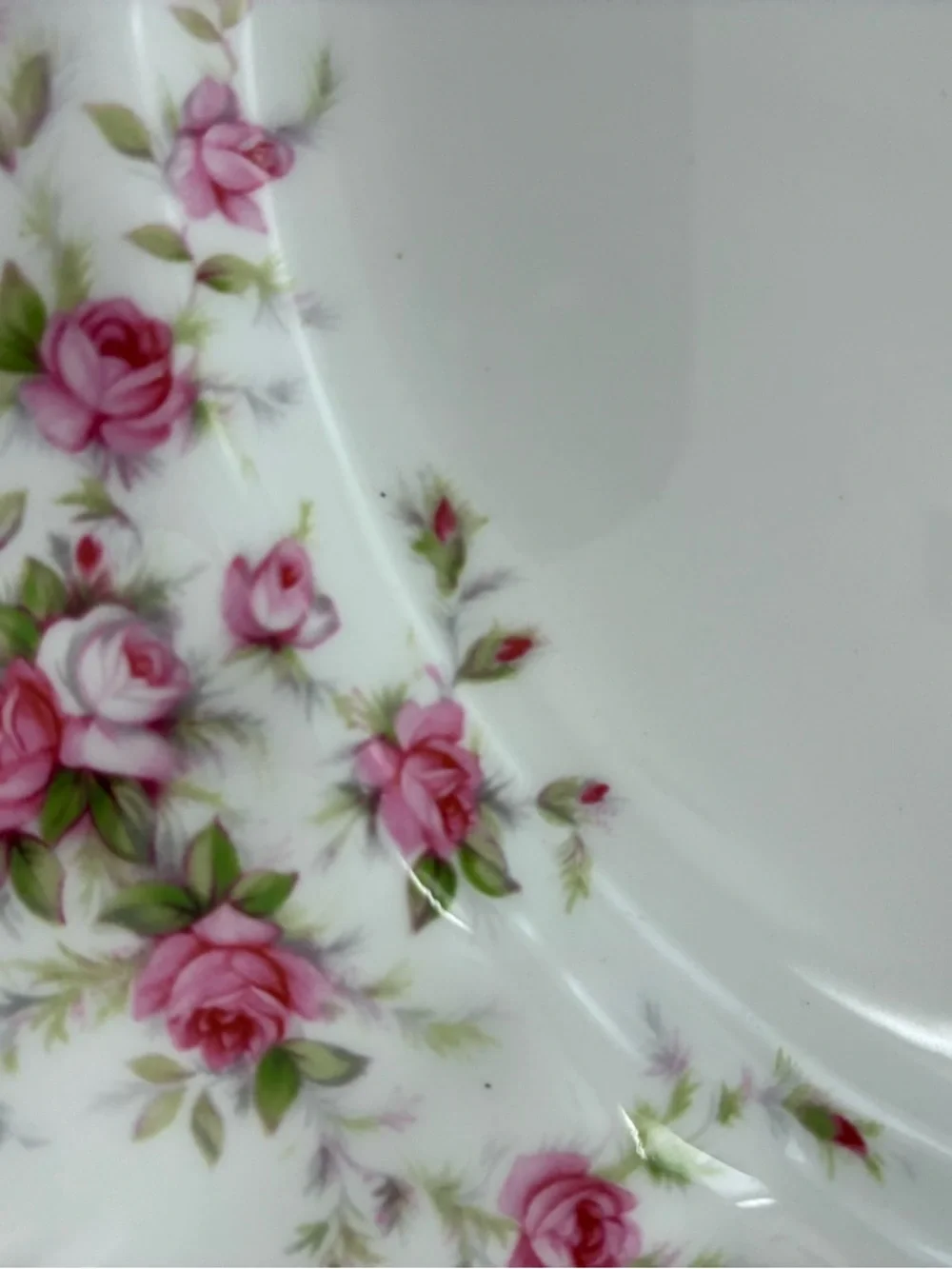 PARAGON victoriana rose